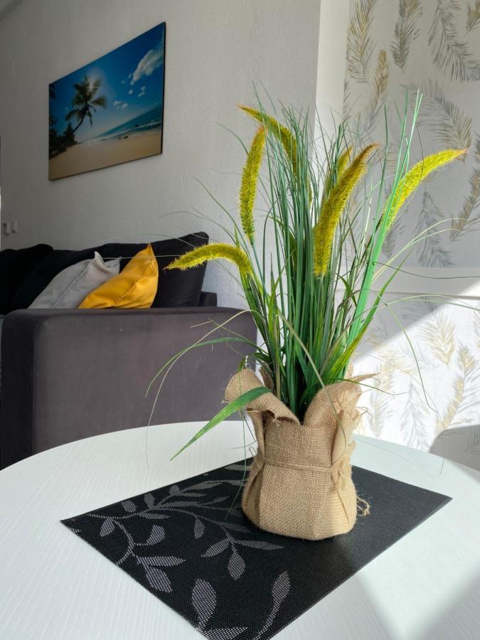 Sunshine Apartment Торевьиа Экстерьер фото